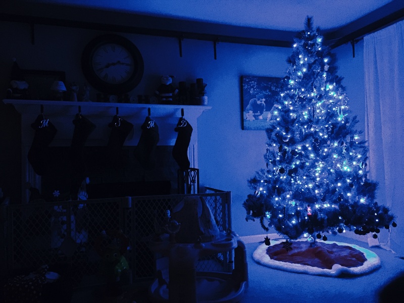 Vánoční stromek a modré vánoční osvětlení